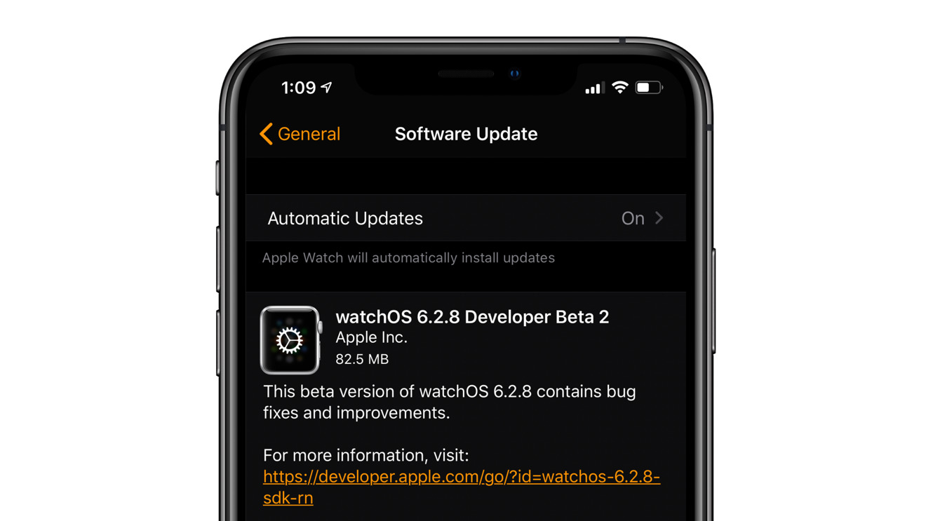 Яблочные семена разработчик бета 2 WatchOS 6.2.8