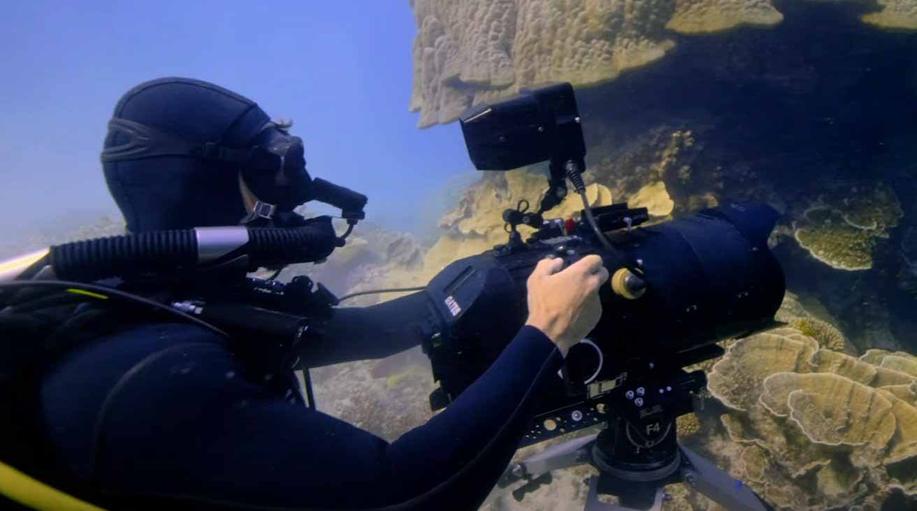 Создатели фильма Apple TV + «Крошечный мир» использовали водолазное снаряжение для подводных съемок
