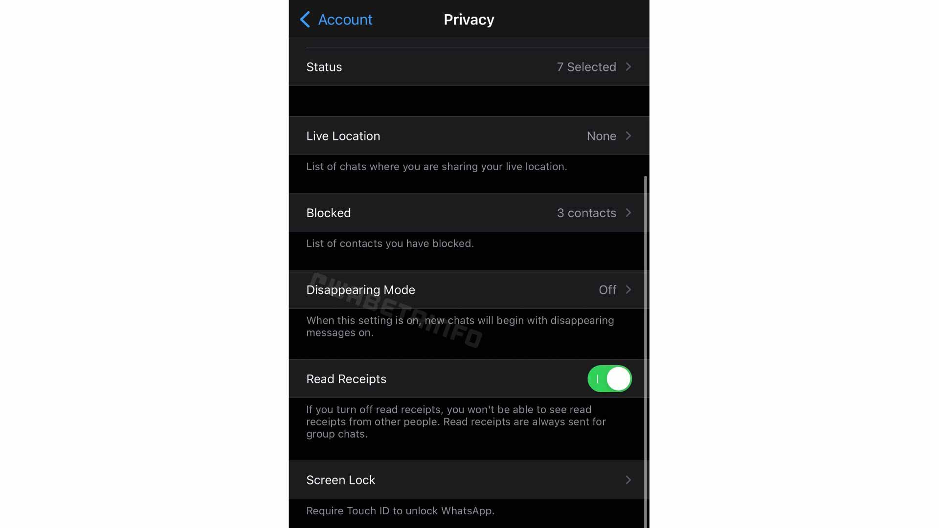 WhatsApp для iOS будет поддерживать режим исчезновения в целях конфиденциальности