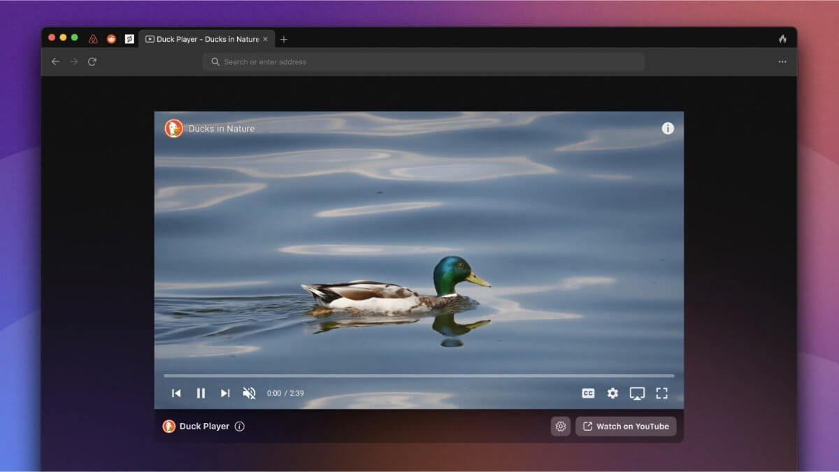 Частный браузер DuckDuckGo для Mac входит в публичную бета-версию