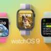 Обновление watchOS 9.1 beta 5 теперь доступно для разработчиков