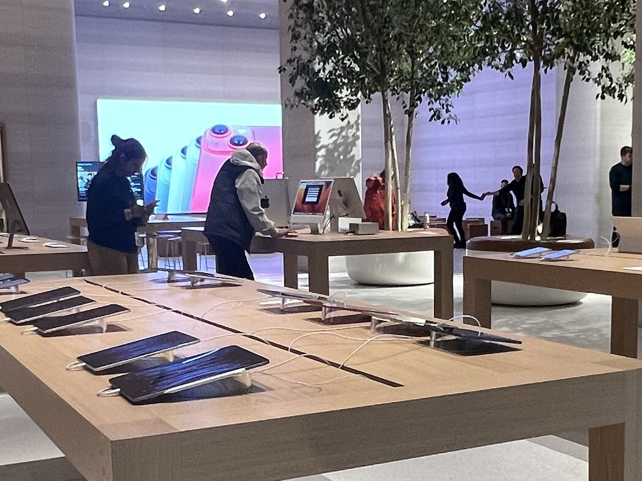 There are 17 regular Apple Store tables among the trees.