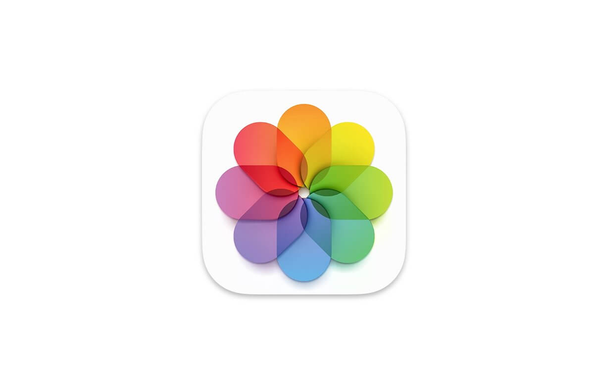 Как использовать выбор объекта AI в фотографиях в iOS 16 и macOS Ventura