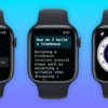 watchGPT переименовывается в Petey AI для Apple Watch