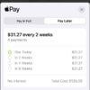 Скоро вы сможете использовать Apple Pay Later, но стоит ли?