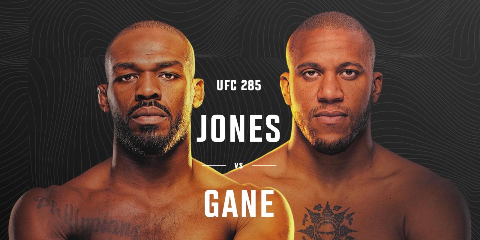 Смотреть UFC Джонс против Гейна