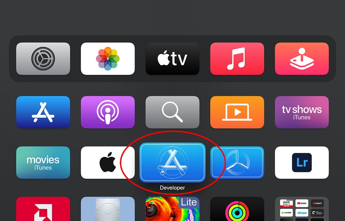 Откройте приложение «Разработчик», прокрутив его с помощью пульта Apple TV и нажав кнопку.