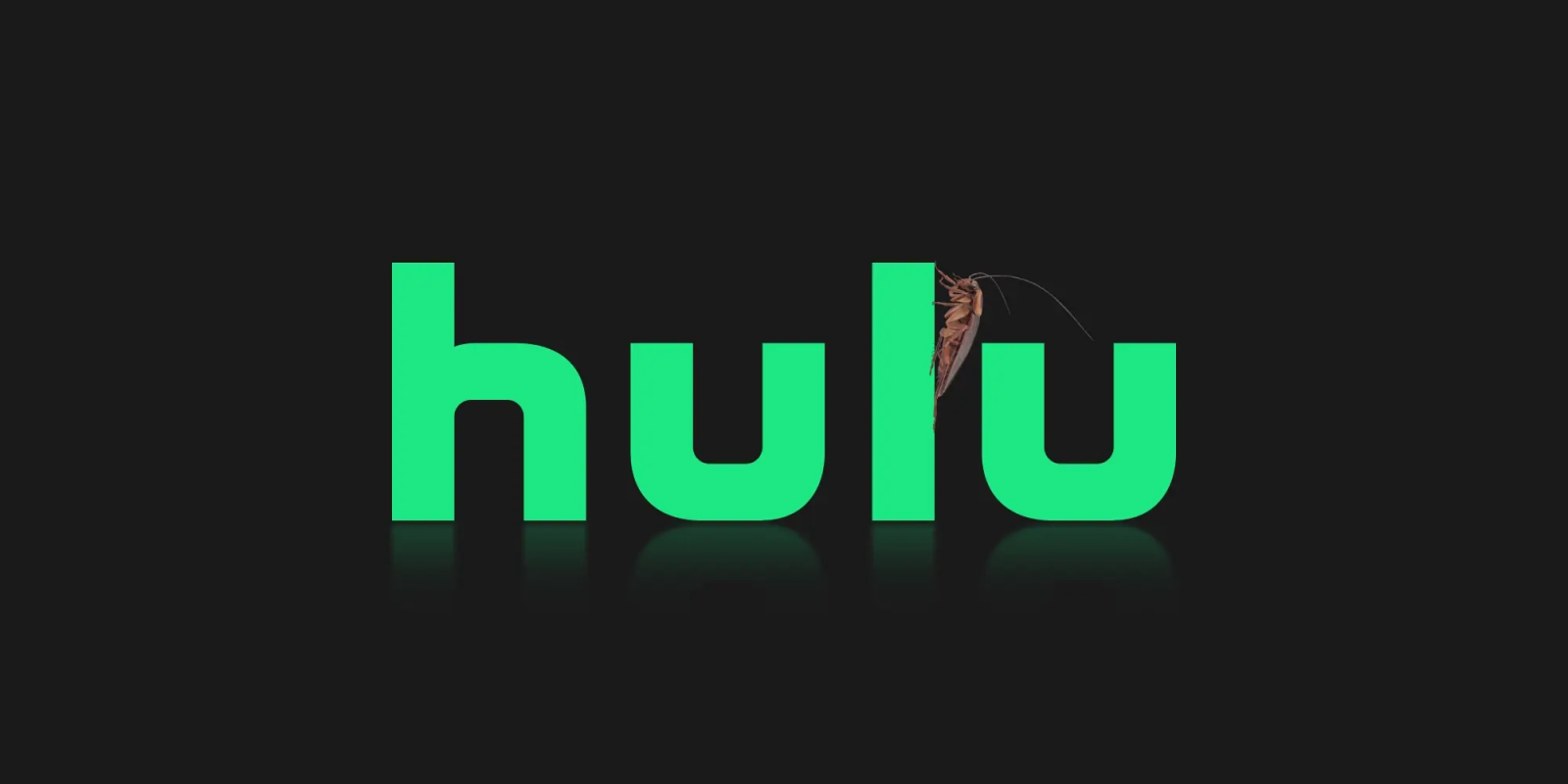 Многие пользователи говорят, что полноэкранный режим Hulu для iPhone не  работает почти месяц