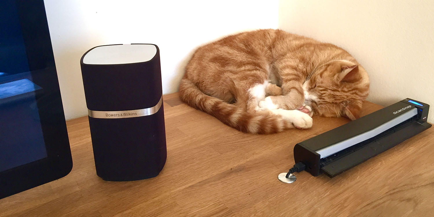 Отслеживание сна Apple Watch |  Кот спит на столе