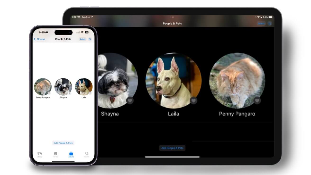 Как отмечать домашних животных в фотографиях в iOS 17