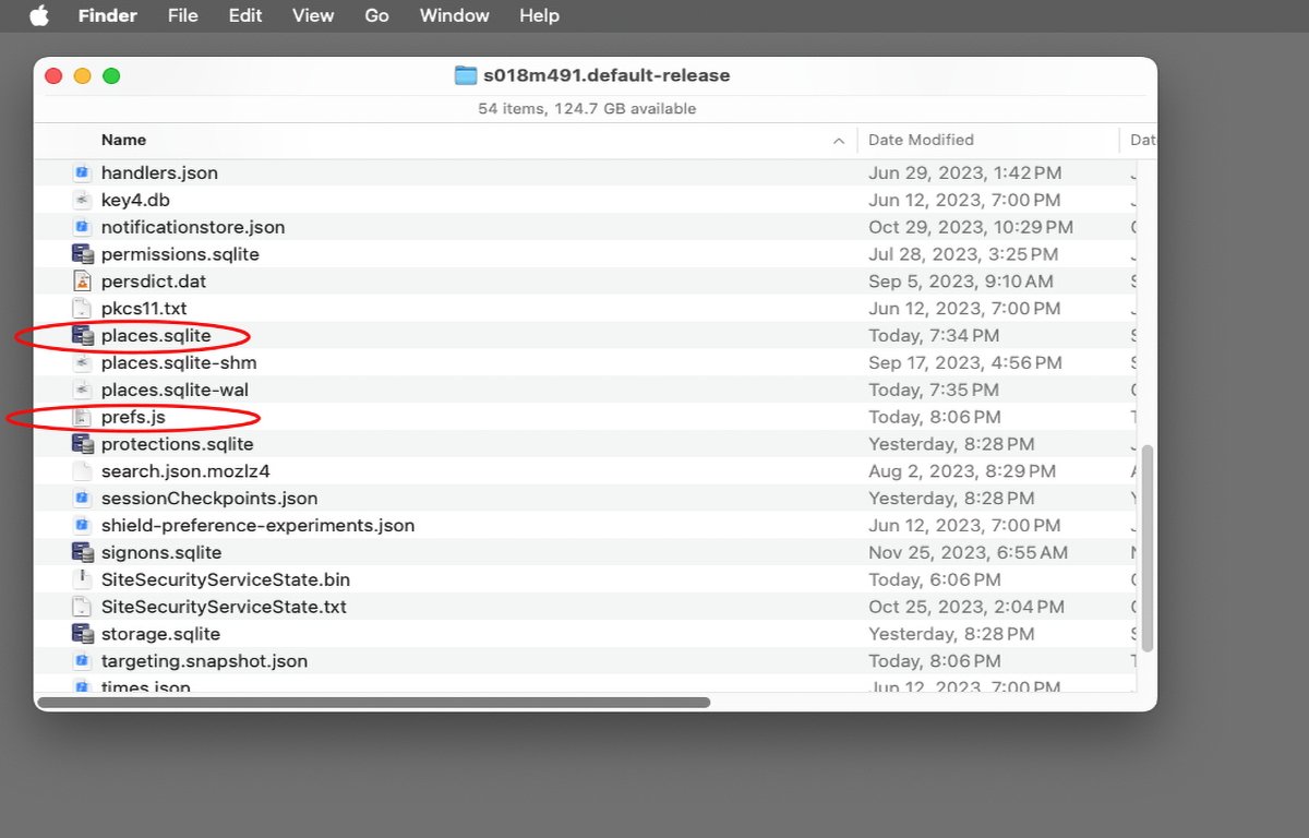 Внутри папки профиля Firefox по умолчанию.  Обратите внимание на закладки и файлы настроек.