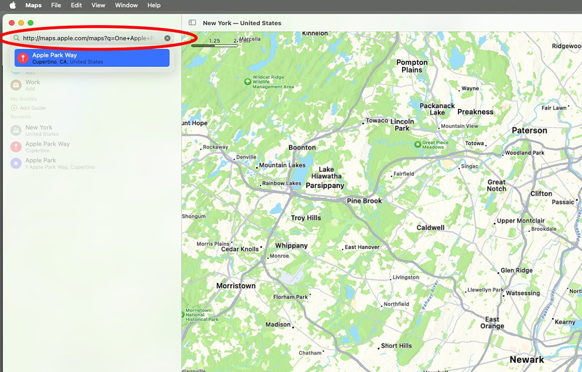 Приложение Apple Maps со вставленным URL-адресом карты.