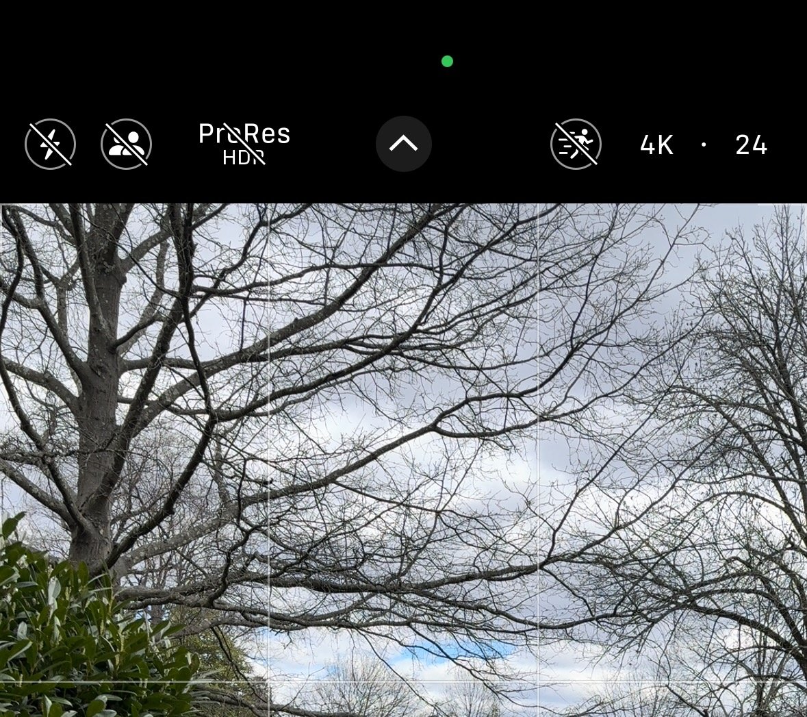 Голые ветки деревьев на фоне облачного неба с наложением интерфейса камеры iPhone, показывающим настройки записи.