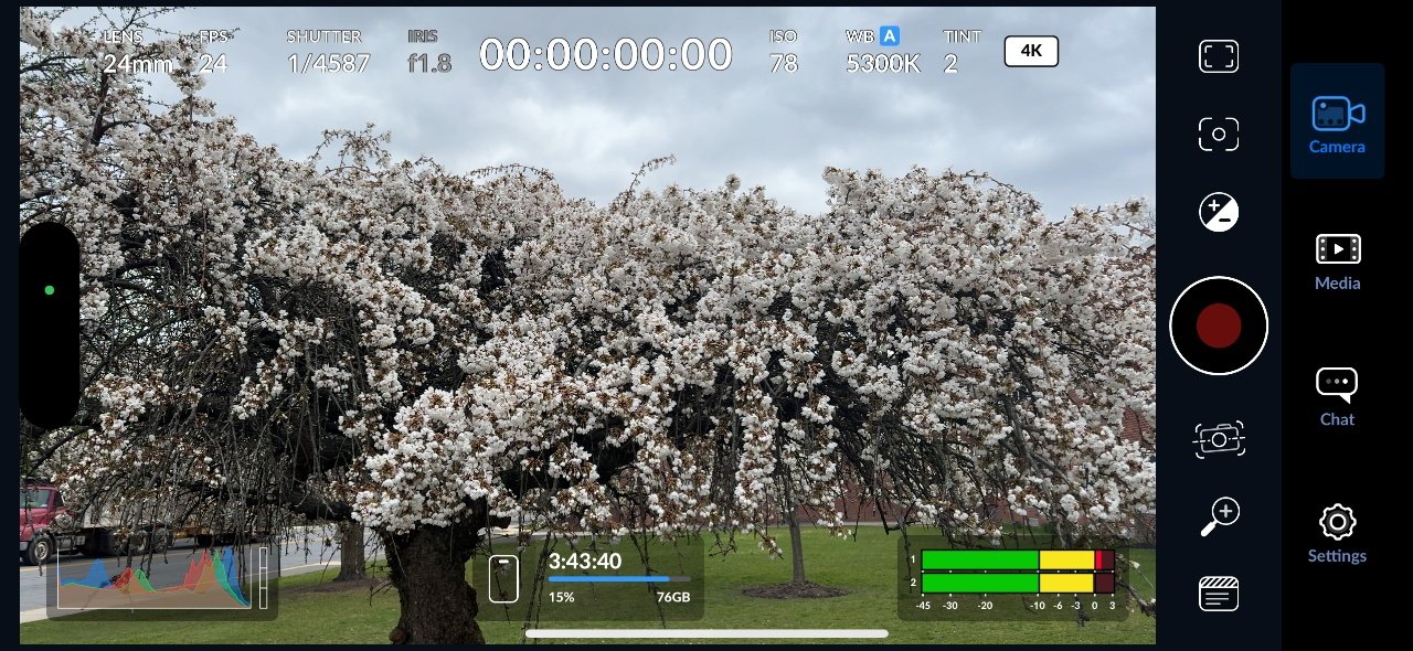 Цветущая вишня в интерфейсе видоискателя камеры, указывающая настройки фото- или видеозаписи.