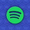 Spotify планирует запустить подписку Music Pro с lossless