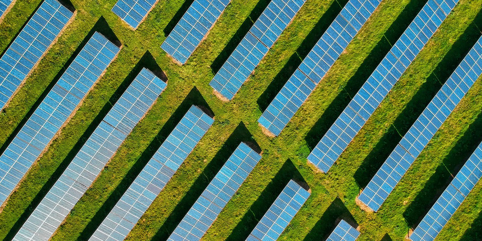 Экологические цели Apple до 2030 года |  Снимок солнечной фермы с дрона