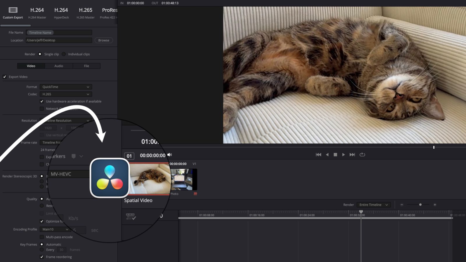 Поддержка пространственного видео DaVinci Resolve 19.1